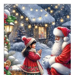 Pacote Com 20 Guardanapos 33x33cm De Papel Talking To Santa Fsc Mix